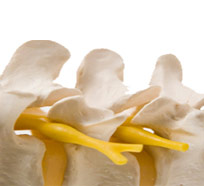 meniscus repair